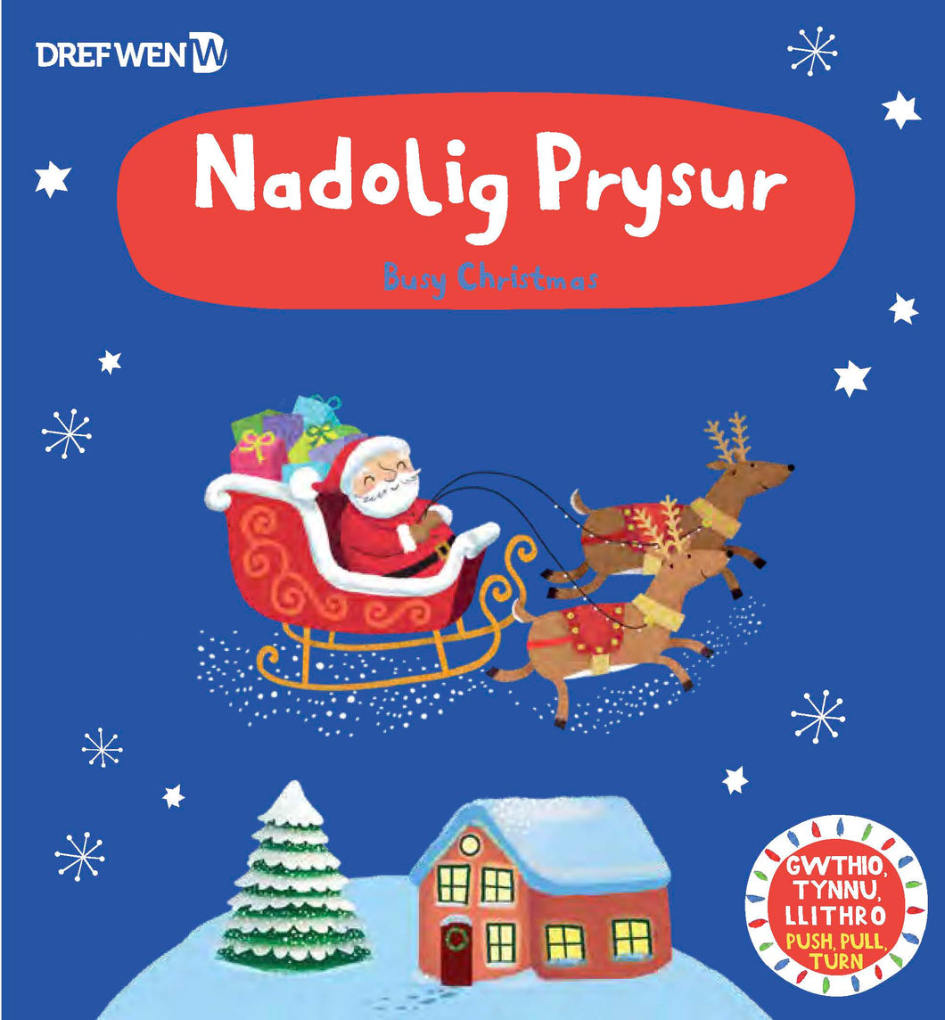 Nadolig Prysur / Busy Christmas