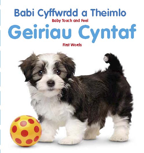 Babi Cyffwrdd a Theimlo: Geiriau Cyntaf / Baby Touch and Feel: First Words